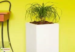 Farmet New Pot De Fleurs En Polyéthylène Atlantis – 30 X 30 X 47 Cm -Jardinage Soldes bac a fleurs blanc 2