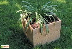 Jardipolys Jardinière En Bois Modulable Et Personnalisable 40x40x39,5cm