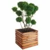 Jardipolys Bac à Fleurs En Bois Lign Z 60 (60x60x50cm) -Jardinage Soldes bac a fleurs en bois