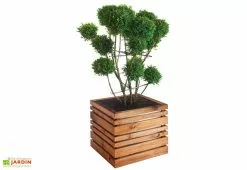 Jardipolys Bac à Fleurs En Bois Lign Z 60 (60x60x50cm)
