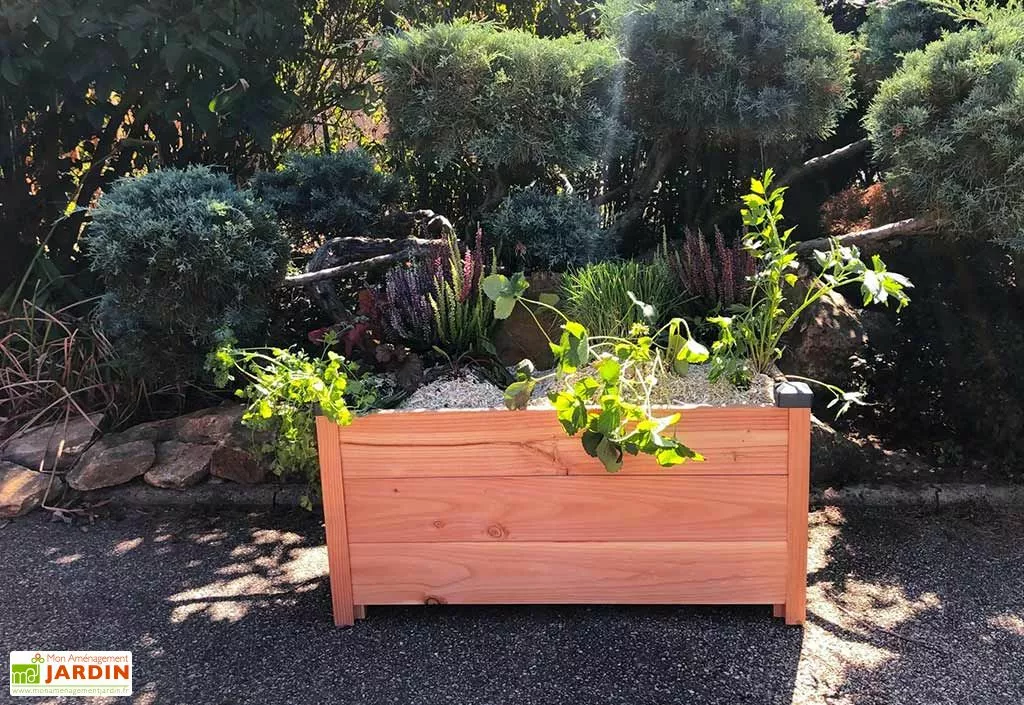 Mon Petit Potager Jardinière Rectangulaire En Bois Douglas Non Traité - Premium 4 Mon Petit Potager Jardinière Rectangulaire En Bois Douglas Non Traité - Premium – Image 2