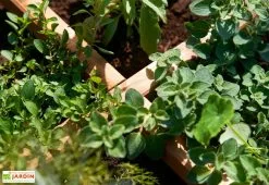 Ekju Carré Potager En Bois Autoclave Sur Pieds 80 X 80 Cm H. 88 Cm - Rezekne -Jardinage Soldes bac potager bois sureleve ekju 253394