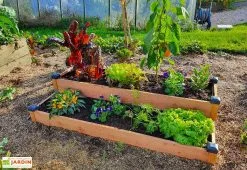 Mon Petit Potager Carré Potager En Bois Douglas Non Traité Sur Deux étages Premium – 136 L
