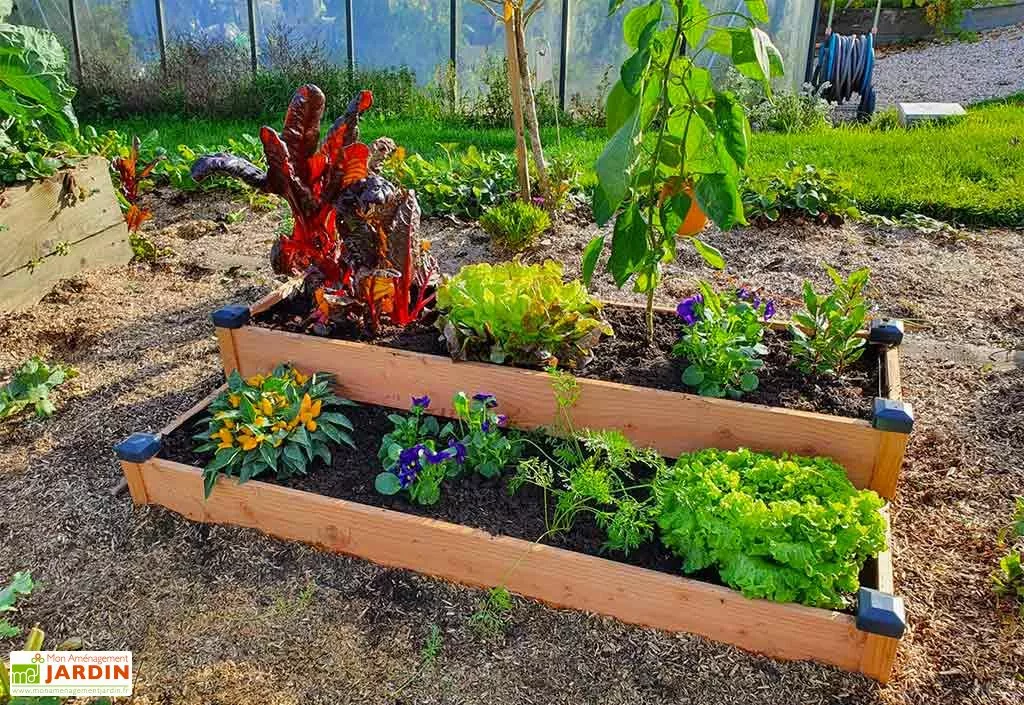 Mon Petit Potager Carré Potager En Bois Douglas Non Traité Sur Deux étages Premium – 136 L 3 Mon Petit Potager Carré Potager En Bois Douglas Non Traité Sur Deux étages Premium – 136 L