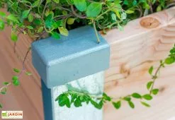 Mon Petit Potager Carré Potager En Bois Douglas 19 Mm – 75 X 80 X 36 Cm 8 Mon Petit Potager Carré Potager En Bois Douglas 19 Mm – 75 X 80 X 36 Cm -Jardinage Soldes carre potager bois 19mm douglas france