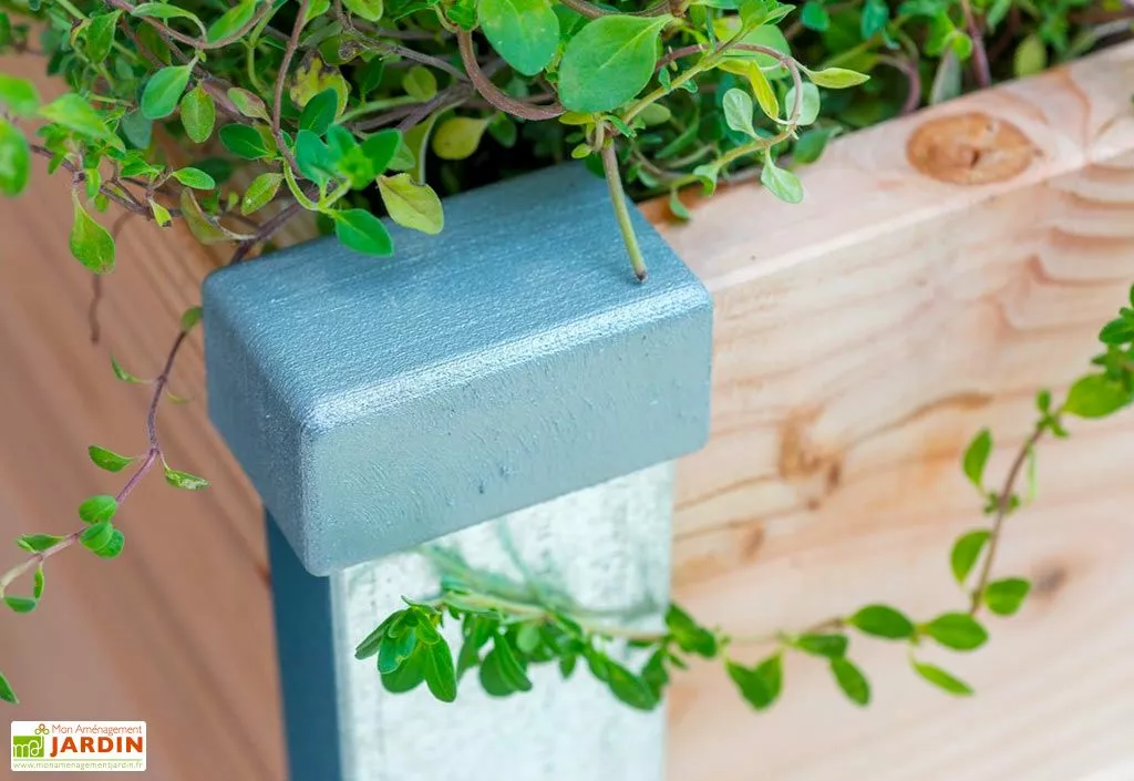 Mon Petit Potager Carré Potager En Bois Douglas 19 Mm – 75 X 80 X 36 Cm 5 Mon Petit Potager Carré Potager En Bois Douglas 19 Mm – 75 X 80 X 36 Cm – Image 3