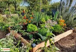 Mon Petit Potager Carré Potager En Bois Douglas Non Traité Premium – 174 L