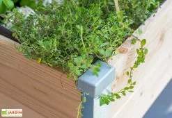 Mon Petit Potager Carré Potager Sur Pied En Bois Douglas 19 Mm – 75 X 80 X 80 Cm -Jardinage Soldes carre potager sur pieds bois 19mm douglas france 75x80cm