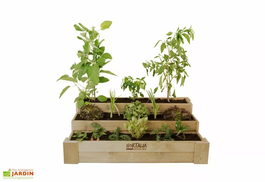 Hortalia Carré Potager 3 étages En Bois De Pin Traité - 120 X 80 X 40 Cm 3 Hortalia Carré Potager 3 étages En Bois De Pin Traité - 120 X 80 X 40 Cm