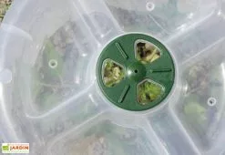 Modul'o Cloche Potagère à Forcer Modulo ø35 Cm (lot De 3) -Jardinage Soldes cloche potagere modulo 2