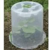 Modul'o Cloche Potagère à Forcer Modulo ø35 Cm (lot De 3) -Jardinage Soldes cloche potagere modulo 35 polypropylene mini serre