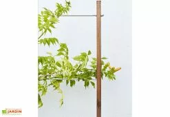 Jardipolys Jardinière Avec Treillis Lign Z (100x30x130cm) -Jardinage Soldes details treillis jardiniere bois