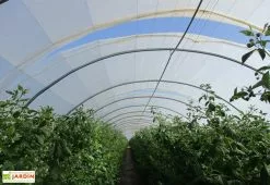 Serre Professionnelle Richel En Acier Et Polyéthylène 8 X 30 M 7 Serre Professionnelle Richel En Acier Et Polyéthylène 8 X 30 M -Jardinage Soldes ecarteur bache serre tunnel richel 8x30m
