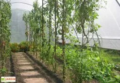 Serre Tunnel Tonneau En Polyéthylène 34 M² - Gothique 7,5 X 4,5 M 7 Serre Tunnel Tonneau En Polyéthylène 34 M² - Gothique 7,5 X 4,5 M -Jardinage Soldes g45750atc serre tunnel goth 7.5