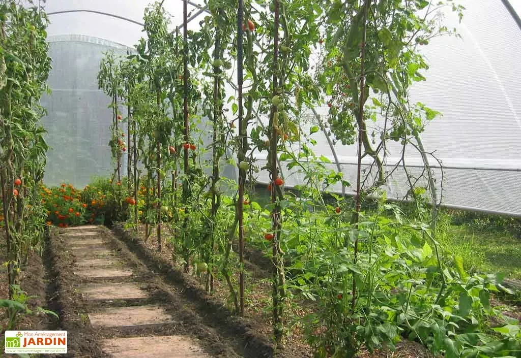 Serre Tunnel Tonneau En Polyéthylène 34 M² - Gothique 7,5 X 4,5 M 5 Serre Tunnel Tonneau En Polyéthylène 34 M² - Gothique 7,5 X 4,5 M – Image 3