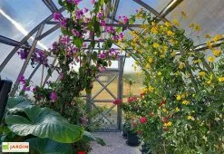 Westmann Serre De Jardin En Polycarbonate Et Acier Galvanisé -Jardinage Soldes interieur serre jardin polycarbonate