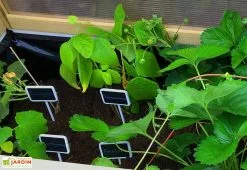 Axi Serre De Culture Sur Pieds En Bois Et Polycarbonate - 120 X 54 X 120 Cm -Jardinage Soldes interieur serre sur pieds bois