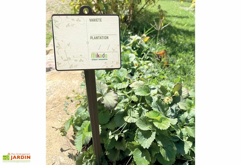 Mikado Jalons Pour Semis Vierges Avec étiquettes Et Feutre Effaçable – 45 Cm 4 Mikado Jalons Pour Semis Vierges Avec étiquettes Et Feutre Effaçable – 45 Cm – Image 2