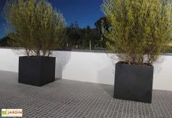 Blive Jardinière En Béton Fibré Kube 60 (60x60)