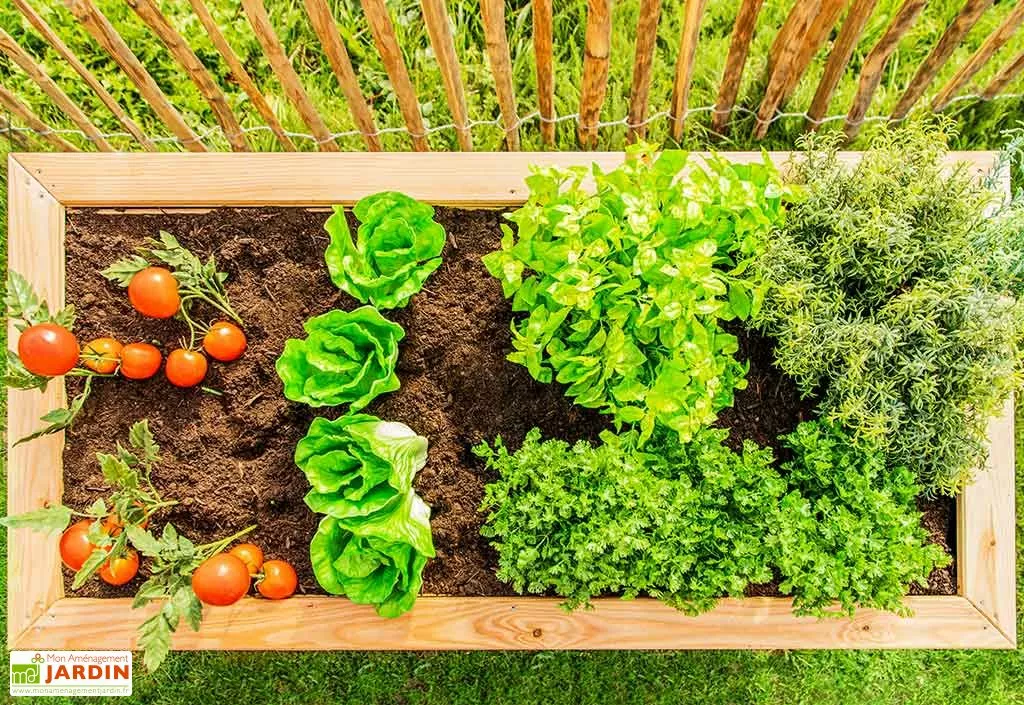 Westmann Jardinière En Bois De Mélèze Bac Potager 130 X 65 X 84 Cm 4 Westmann Jardinière En Bois De Mélèze Bac Potager 130 X 65 X 84 Cm – Image 2