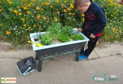 Jardinière Enfant Calipso Mini Junior + Panier Et Acc. – Bleu Pastel 8 Jardinière Enfant Calipso Mini Junior + Panier Et Acc. – Bleu Pastel -Jardinage Soldes jardiniere enfant calipso 40l panier kajo 4l bleu pastel 2