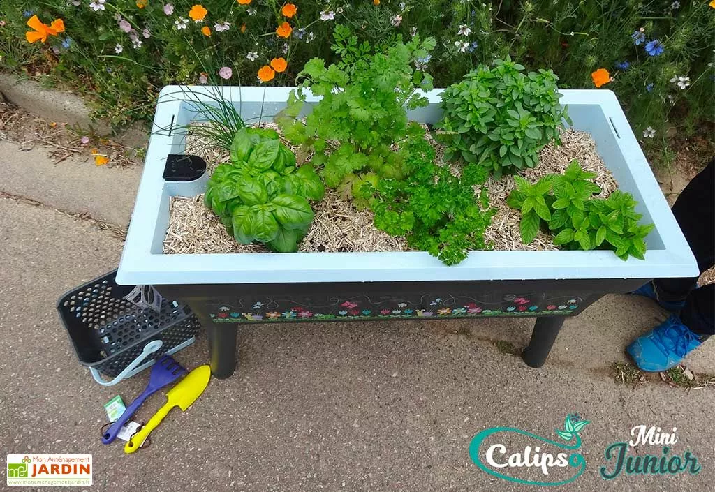 Jardinière Enfant Calipso Mini Junior + Panier Et Acc. – Bleu Pastel 6 Jardinière Enfant Calipso Mini Junior + Panier Et Acc. – Bleu Pastel – Image 4