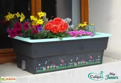 Jardinière Enfant Calipso Mini Junior + Panier Et Acc. – Vert Pastel -Jardinage Soldes jardiniere enfant calipso 40l panier kajo 4l vert pastel 4