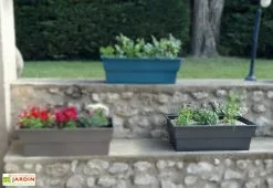 Jardinière Calipso Maxi Basic 40L + Pieds Amovibles – Grise 12 Jardinière Calipso Maxi Basic 40L + Pieds Amovibles – Grise -Jardinage Soldes jardiniere polypropylene 40l pieds amovibles calipso maxi basic grise 2