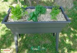 Jardinière Calipso Maxi Basic 40L + Pieds Amovibles – Grise 10 Jardinière Calipso Maxi Basic 40L + Pieds Amovibles – Grise -Jardinage Soldes jardiniere polypropylene 40l pieds amovibles calipso maxi basic grise 4