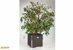 Rattan Art Jardinière En Résine Tressée Cube 46x46x46cm (l,l,h) -Jardinage Soldes jardiniere resine tressee carre 3 1
