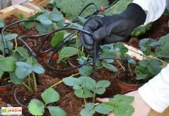 Kit D'irrigation Goutte à Goutte Pour Serre De Jardin Palram-Canopia -Jardinage Soldes kit irrigation serre palram 10m