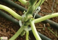 Canopia Kit De Palissage Pro Pour Serre De Jardin Palram -Jardinage Soldes kit palissage palram serre jardin trellising kit pro 3