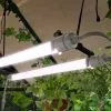Canopia Lampe Horticole LED UV Et Infrarouge – Brighton 1 Canopia Lampe Horticole LED UV Et Infrarouge – Brighton -Jardinage Soldes lampe horticole led croissance plantes canopia palram brighton