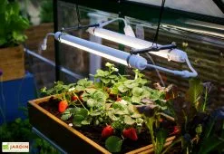 Canopia Lampe Horticole LED UV Et Infrarouge – Brighton -Jardinage Soldes lampe horticole led fraises canopia palram brighton