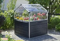 Canopia Mini Serre De Jardin En Aluminium Et Polycarbonate Plant Inn (118 X 118 Cm)