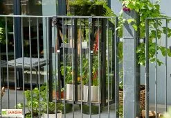 Mini Serre De Balcon En Verre Trempé – Juliana Balcony -Jardinage Soldes mini serre jardin verre trempe aluminium juliana balcony 2