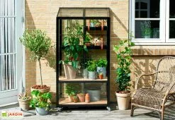 Mini Serre De Jardin En Verre Trempé – Juliana City -Jardinage Soldes mini serre jardin verre trempe aluminium juliana city 3
