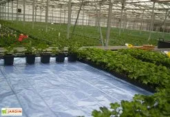 Horti-France Nappe Chauffante En Aluminium – Largeur 100 Cm (9 Dimensions) 7 Horti-France Nappe Chauffante En Aluminium – Largeur 100 Cm (9 Dimensions) -Jardinage Soldes nappe chauffante aluminium largeur 100 cm 9 dimensions 2