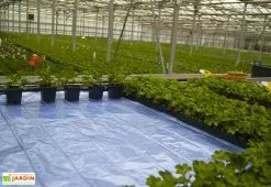 Horti-France Nappe Chauffante En Aluminium – Largeur 150 Cm (8 Dimensions) 7 Horti-France Nappe Chauffante En Aluminium – Largeur 150 Cm (8 Dimensions) -Jardinage Soldes nappe chauffante aluminium largeur 150 cm 8 dimensions