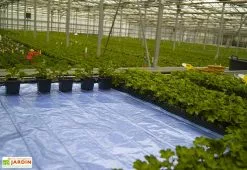 Horti-France Nappe Chauffante En Aluminium – Largeur 160 Cm (8 Dimensions) -Jardinage Soldes nappe chauffante aluminium largeur 160 cm 8 dimensions 1