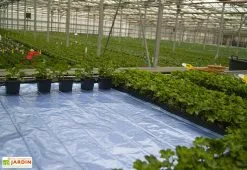 Horti-France Nappe Chauffante En Aluminium – Largeur 120 Cm (9 Dimensions) -Jardinage Soldes nappe chauffante aluminium largeur 20 cm 9 dimensions 2