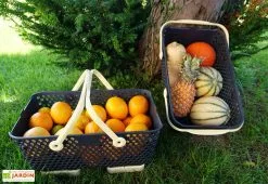 Paniers De Récolte Kajo 15L - 48 X 29 X 20 Cm (lot De 2) -Jardinage Soldes panier recolte kajo 15 jaune pastel