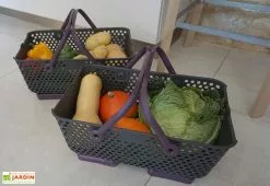 Paniers De Récolte Kajo 15L - 48 X 29 X 20 Cm (lot De 2) -Jardinage Soldes panier recolte kajo 15 prune