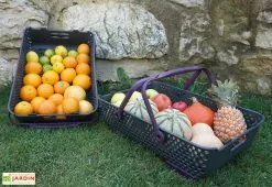 Paniers De Récolte Kajo 20L – 58 X 38 X 15 Cm (lot De 2) -Jardinage Soldes panier recolte kajo 20 prune