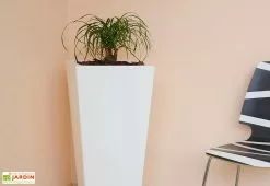 Farmet New Pot De Fleurs En Polyéthylène Hydrus - 39 X 39 X 85 Cm