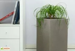 Farmet New Pot De Fleurs En Polyéthylène Atlantis – 30 X 30 X 47 Cm -Jardinage Soldes pot de fleurs gris 6