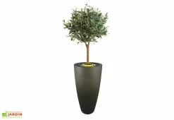 Plast'Up Pot De Fleur En Polyéthylène Delight 200 L (Pls Coloris)