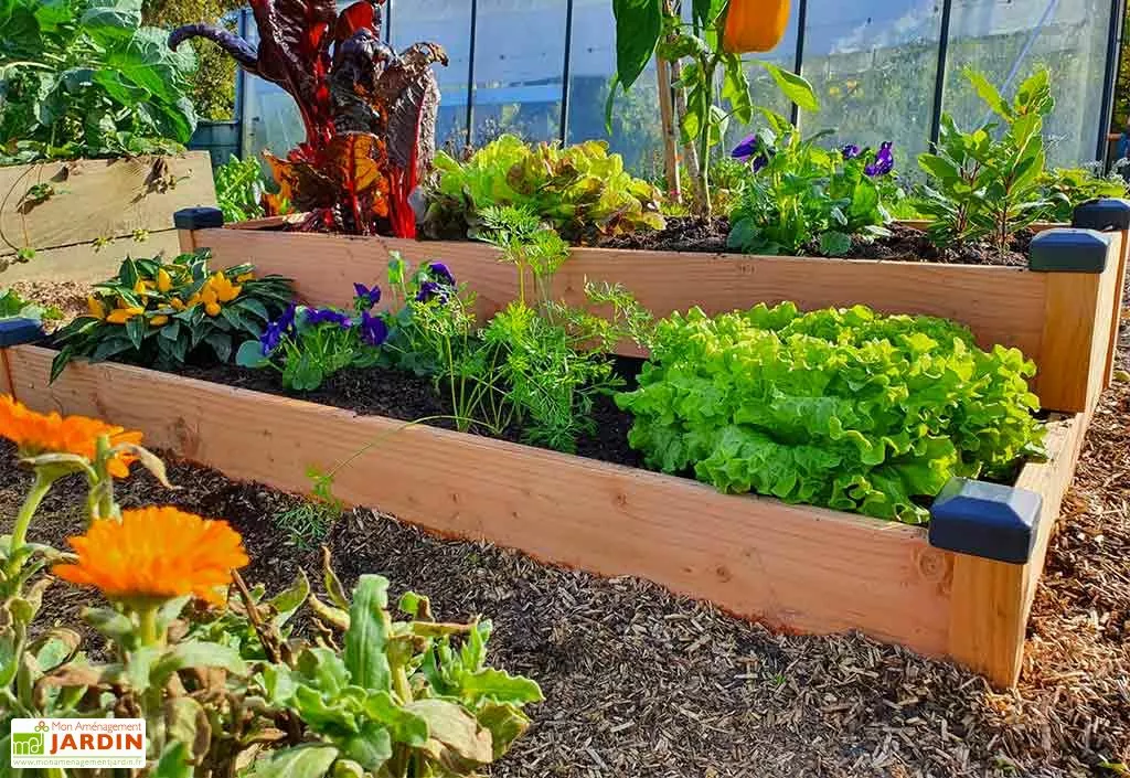 Mon Petit Potager Carré Potager En Bois Douglas Non Traité Sur Deux étages Premium – 136 L 4 Mon Petit Potager Carré Potager En Bois Douglas Non Traité Sur Deux étages Premium – 136 L – Image 2