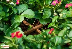 Ekju Carré Potager Sur Pieds En Bois Autoclave Brun - 75 X 75 X 79 Cm -Jardinage Soldes potager bois surelever 1