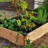Mon Petit Potager Carré Potager En Bois Douglas Non Traité Premium – 146 L -Jardinage Soldes potager en bois douglas pefc